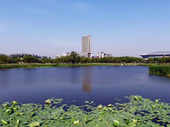 天津商業大學,美國東密歇根大學