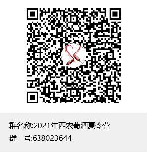 研究生推免 推免夏令營 保研夏令營